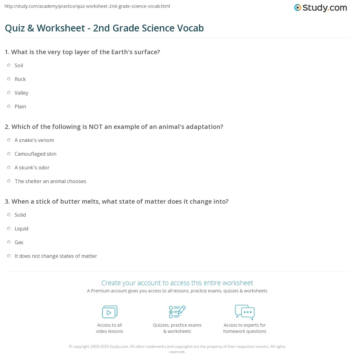 Quiz Worksheet 2nd Grade Science Vocab Study
