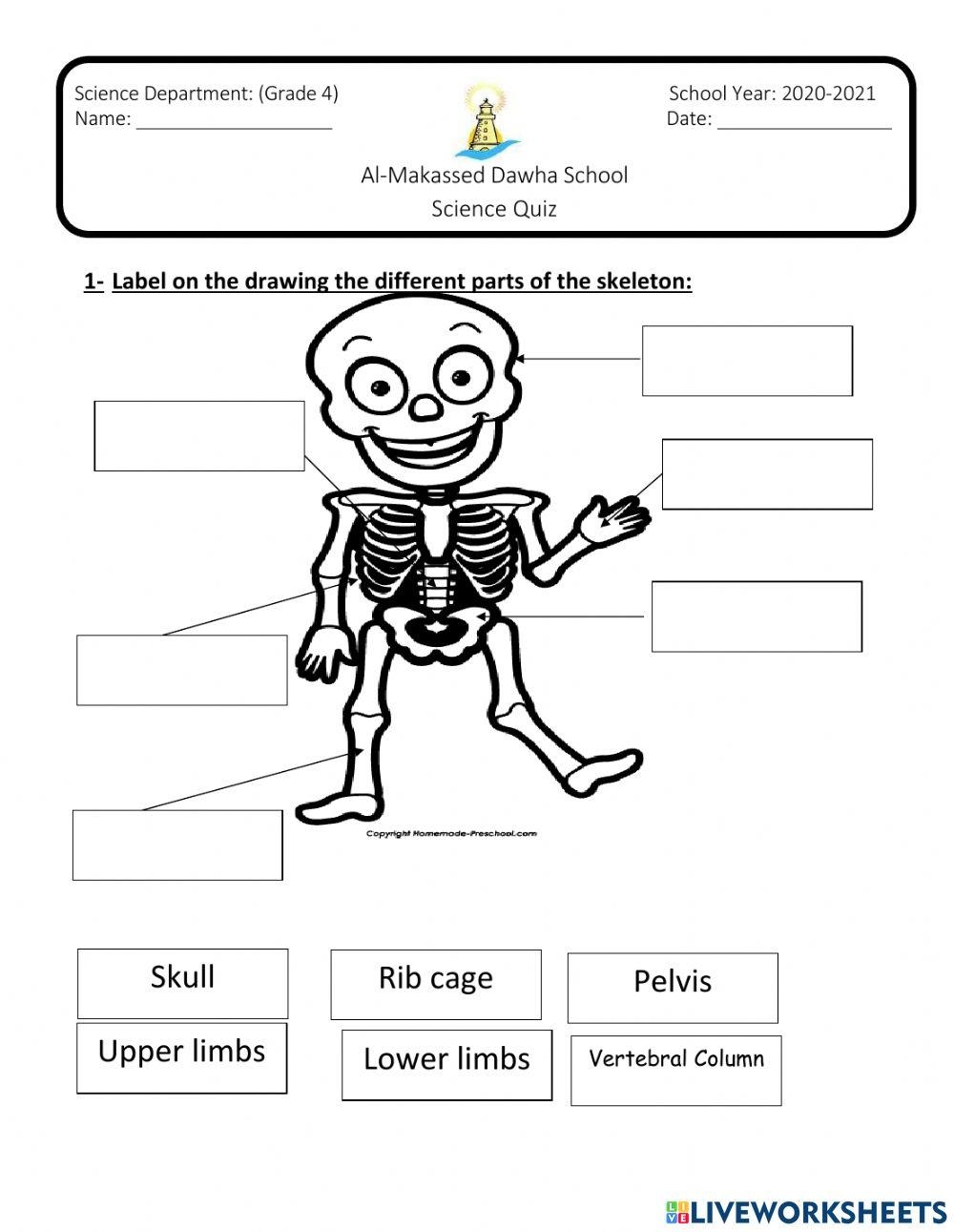 3rd Grade Bones Quiz Printable