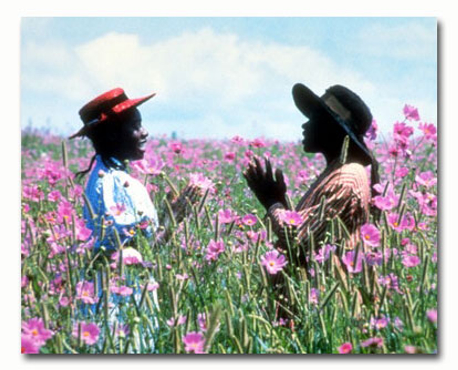 SS3474666 Movie Picture Of The Color Purple Buy Celebrity Photos And Posters At Starstills