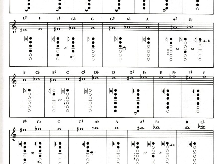 Student Resources CAREER ACADEMY INSTRUMENTAL MUSIC DEPARTMENT