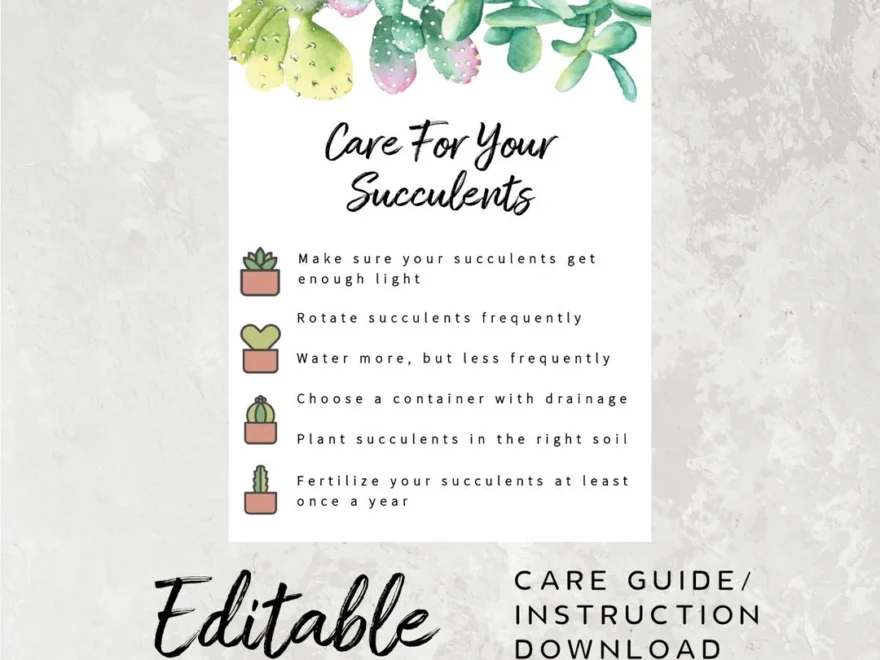 Succulent Care Guide Insert Printable Care Guide Plants Care Instruction Card For Cactus Care Guide Print Out Editable Order Insert Etsy