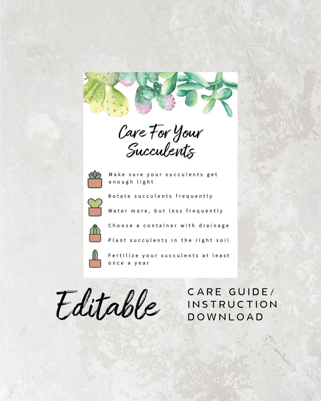 Succulent Care Guide Insert Printable Care Guide Plants Care Instruction Card For Cactus Care Guide Print Out Editable Order Insert Etsy Succulent Care Guide Insert Printable Care Guide Plants Care Instruction Card For Cactus Care Guide Print Out Editable Order Insert Etsy