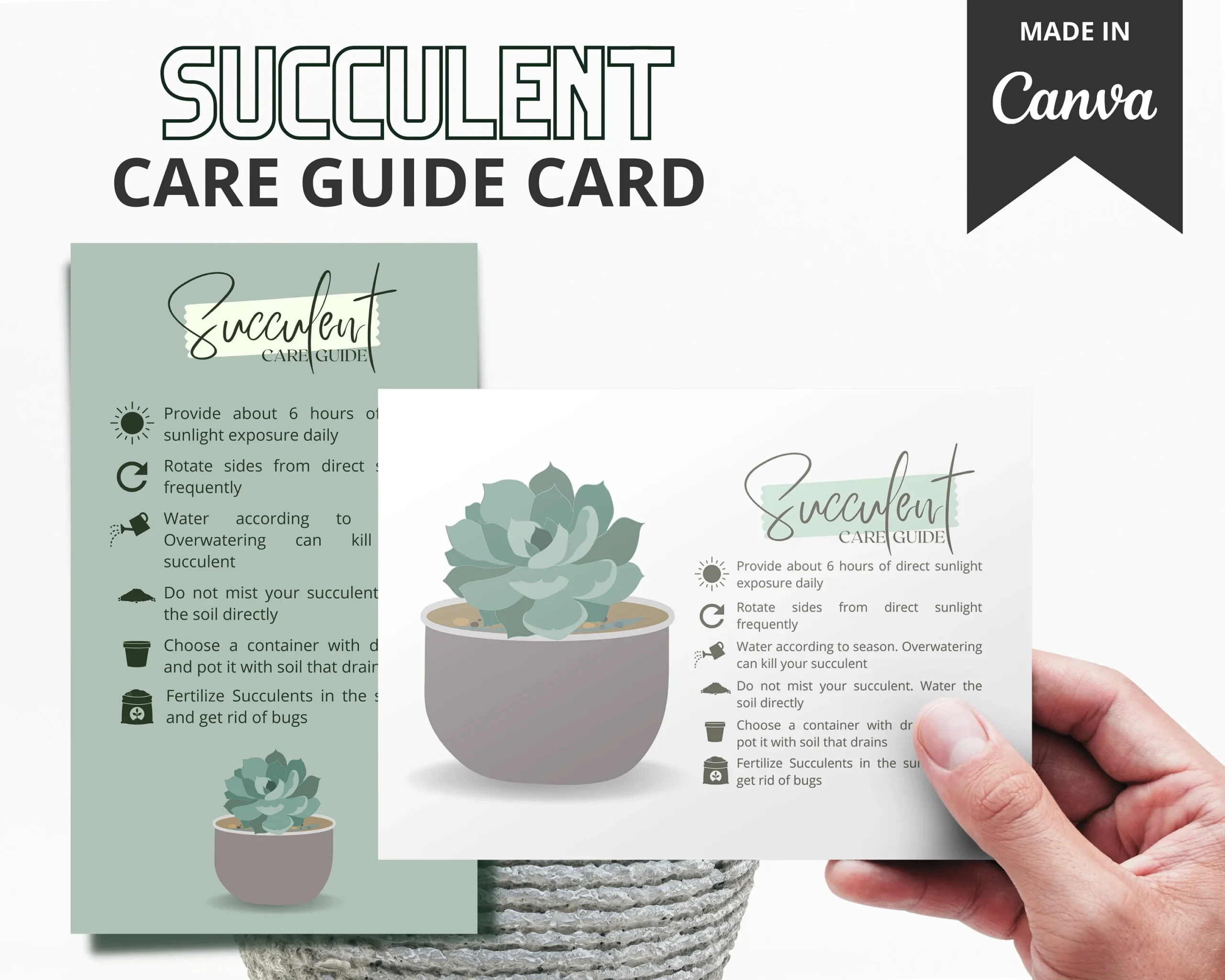 Cactus Care Guide Printable Cactus Care Guide Printable