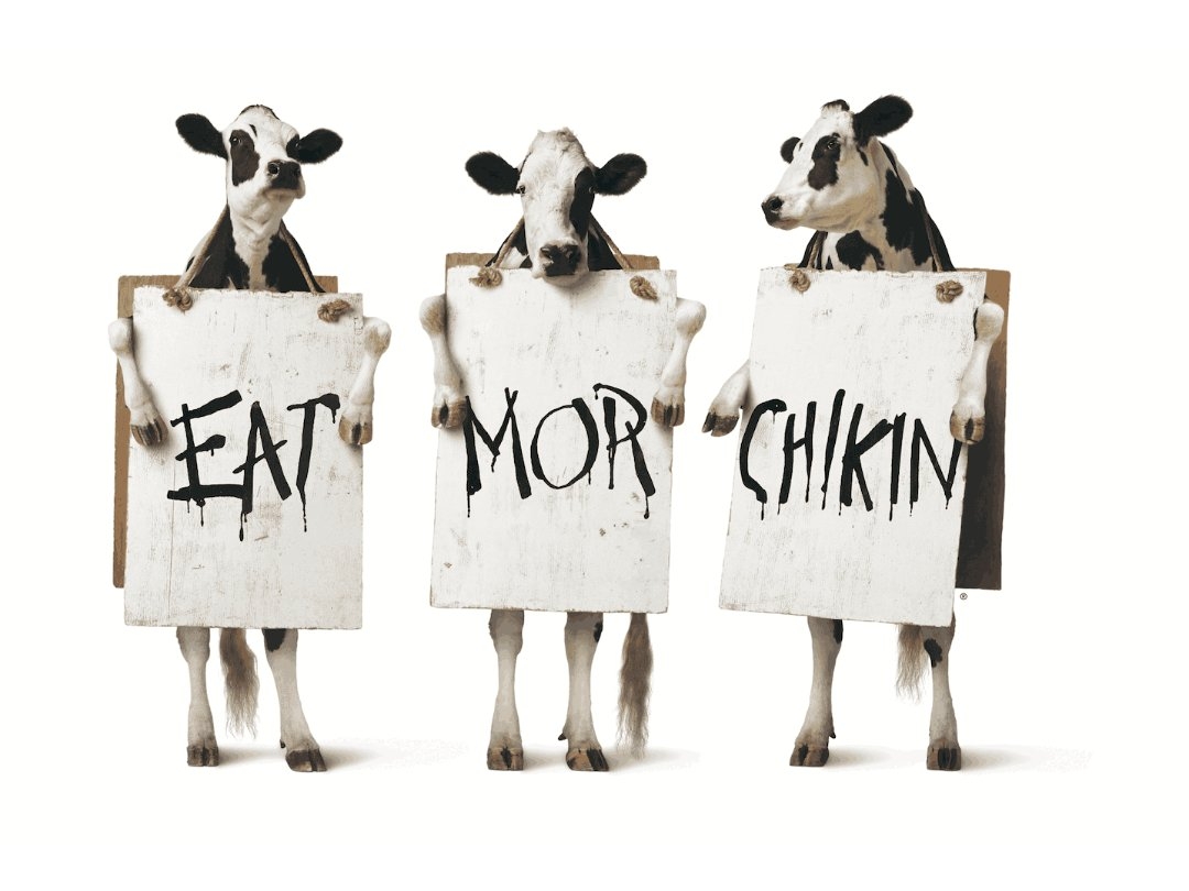 The Cows And Their Call To Eat Mor Chikin Chick fil A Canada The Cows And Their Call To Eat Mor Chikin Chick fil A Canada