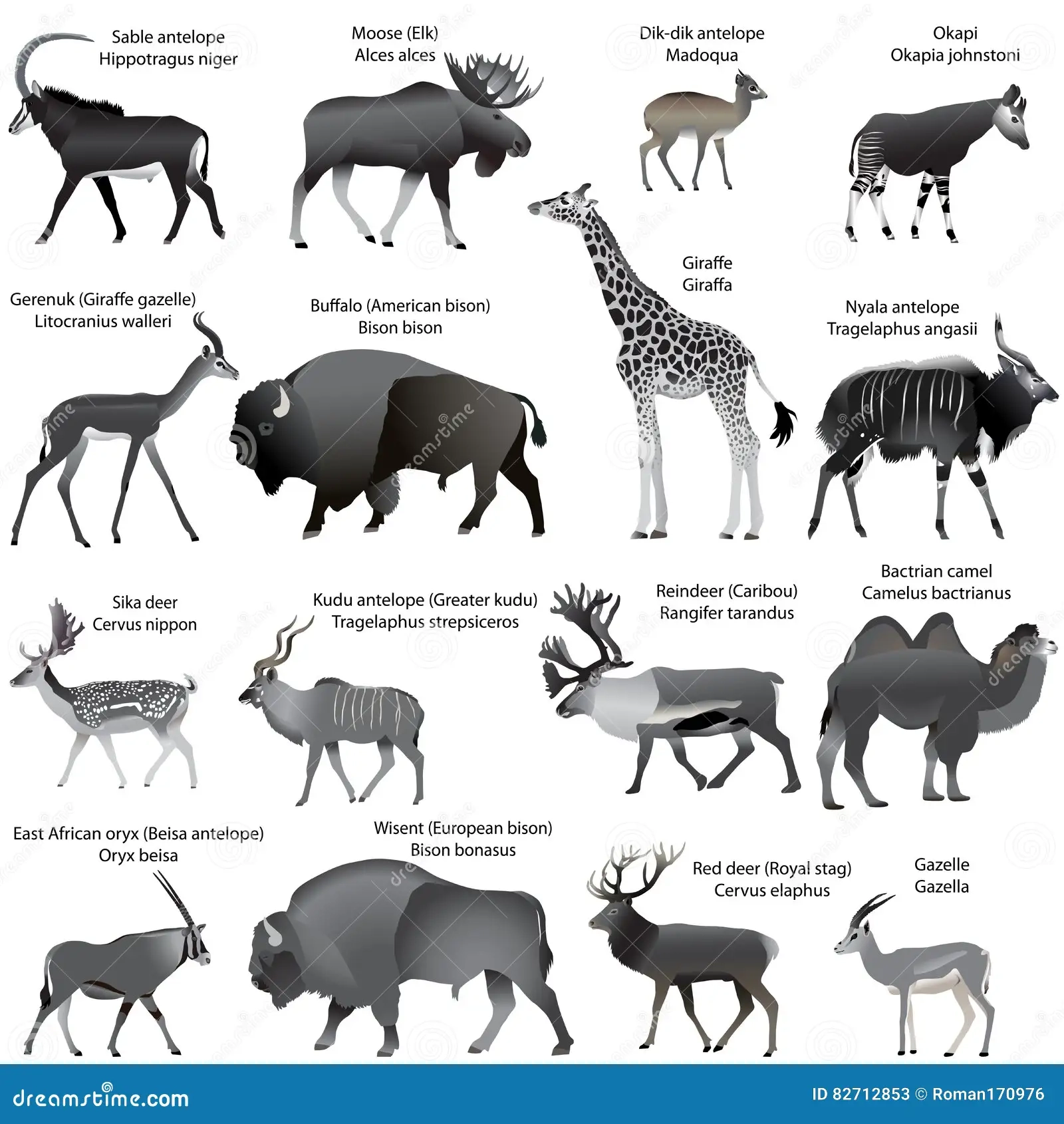 Ungulates Animals Stock Illustrations 475 Ungulates Animals Stock Illustrations Vectors Clipart Dreamstime Ungulates Animals Stock Illustrations 475 Ungulates Animals Stock Illustrations Vectors Clipart Dreamstime