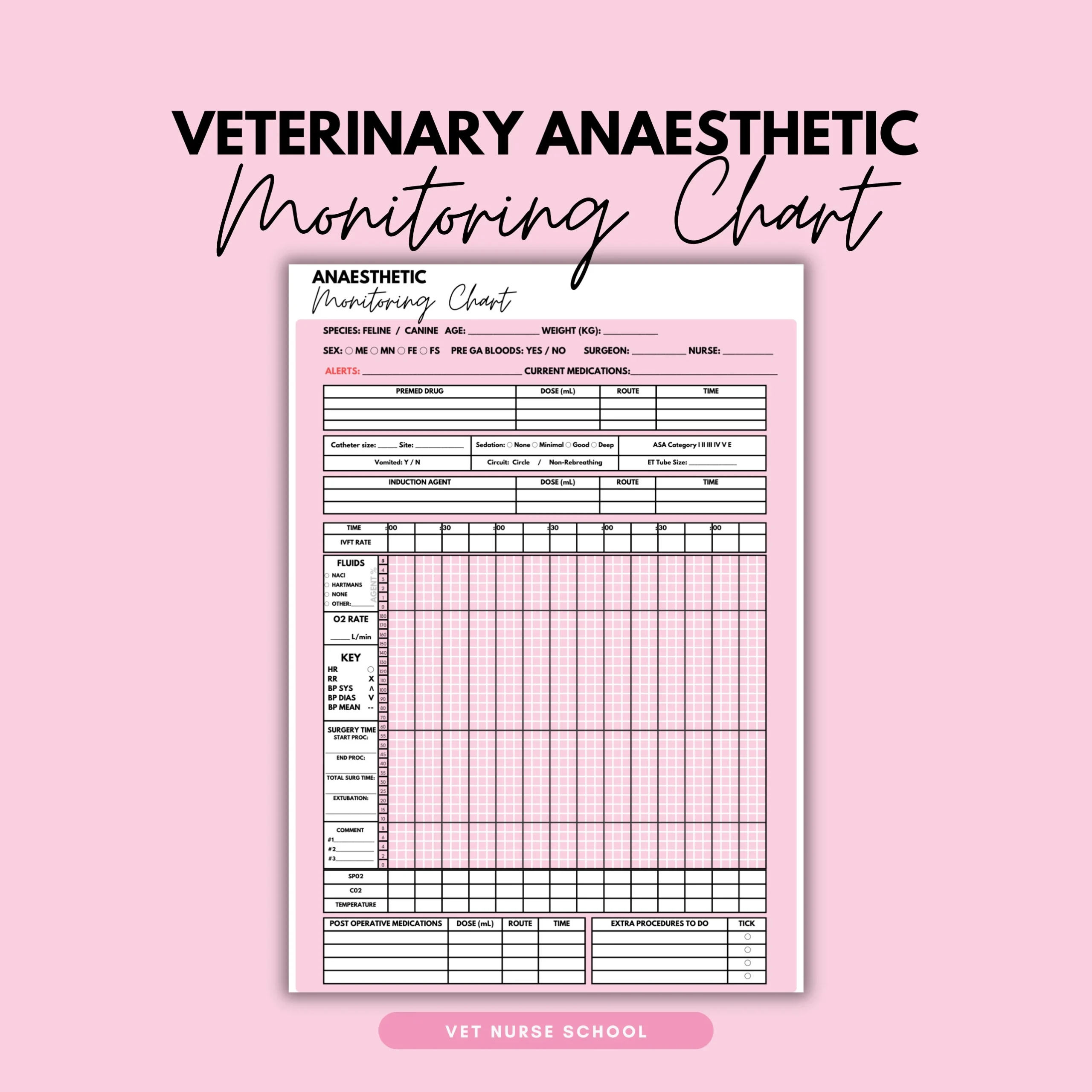 Veterinary Anaesthetic Monitoring Chart Vet Nurse Etsy