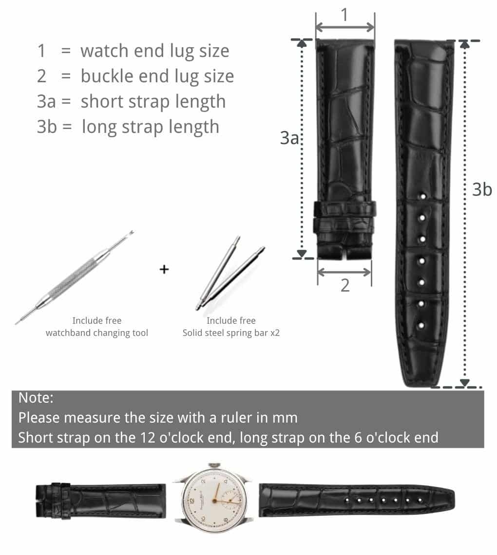 Watch Band Size Guide Drwatchstrap